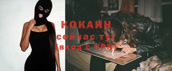 спайс Алексин