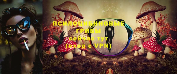 спайс Алексин
