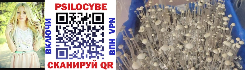 MEGA сайт  дарнет шоп  Крымск  Галлюциногенные грибы Psilocybe 
