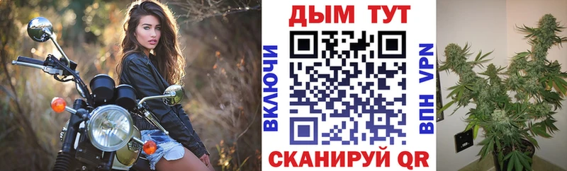 Каннабис OG Kush Крымск